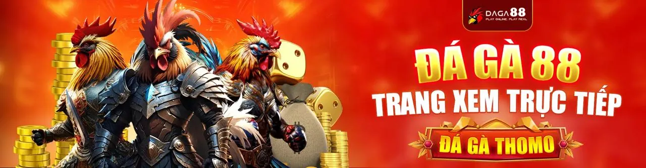 Sân đá gà trực tuyến Banca29 với không khí sôi động